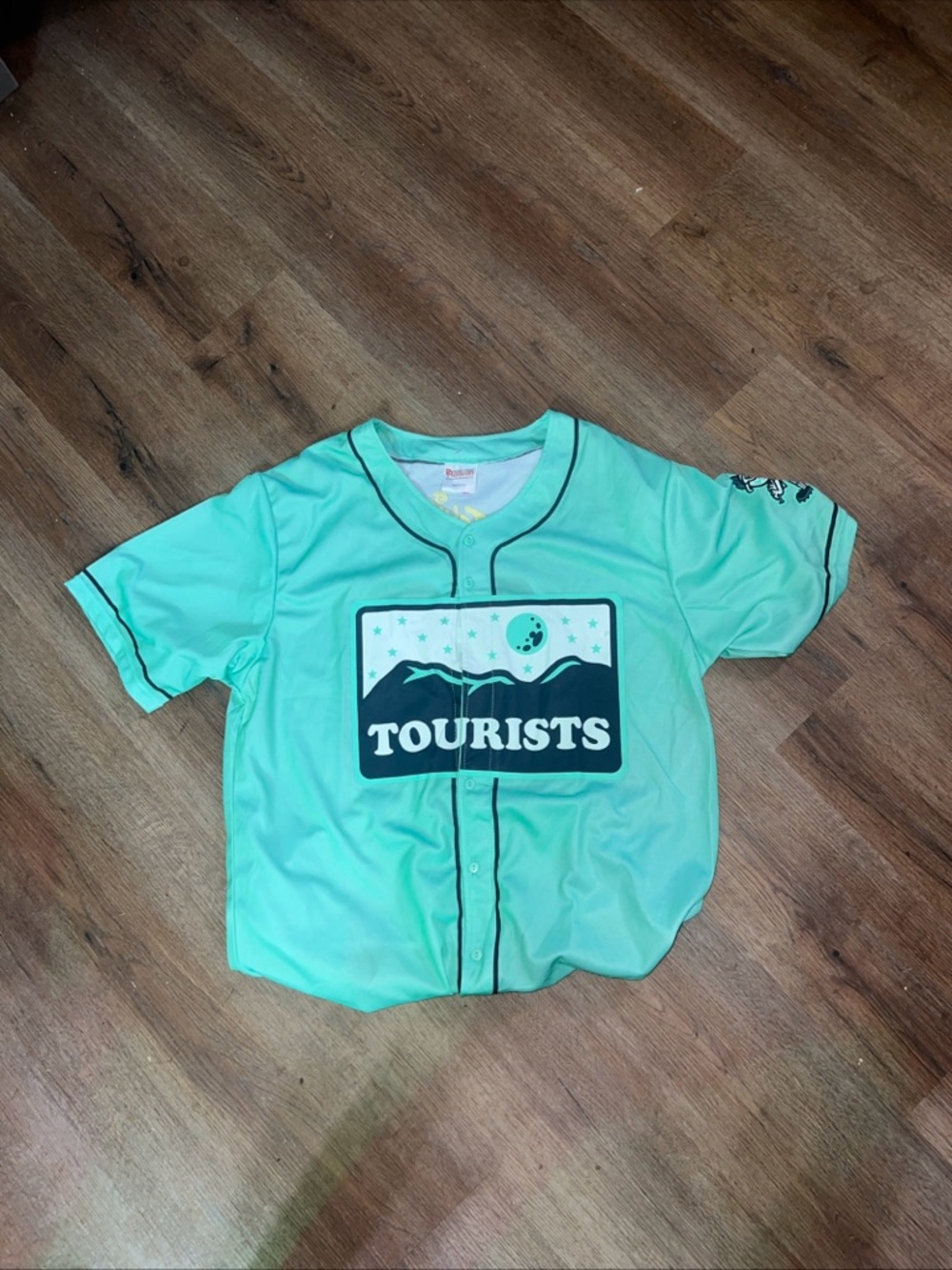 Asheville Tourists Mint Green Mens Baseball Jersey Top size L North Carolina